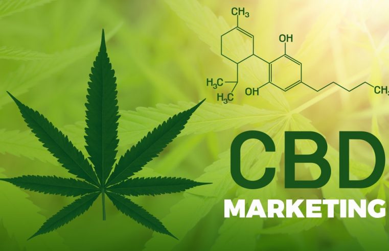How to Market CBD business Online with SEO?